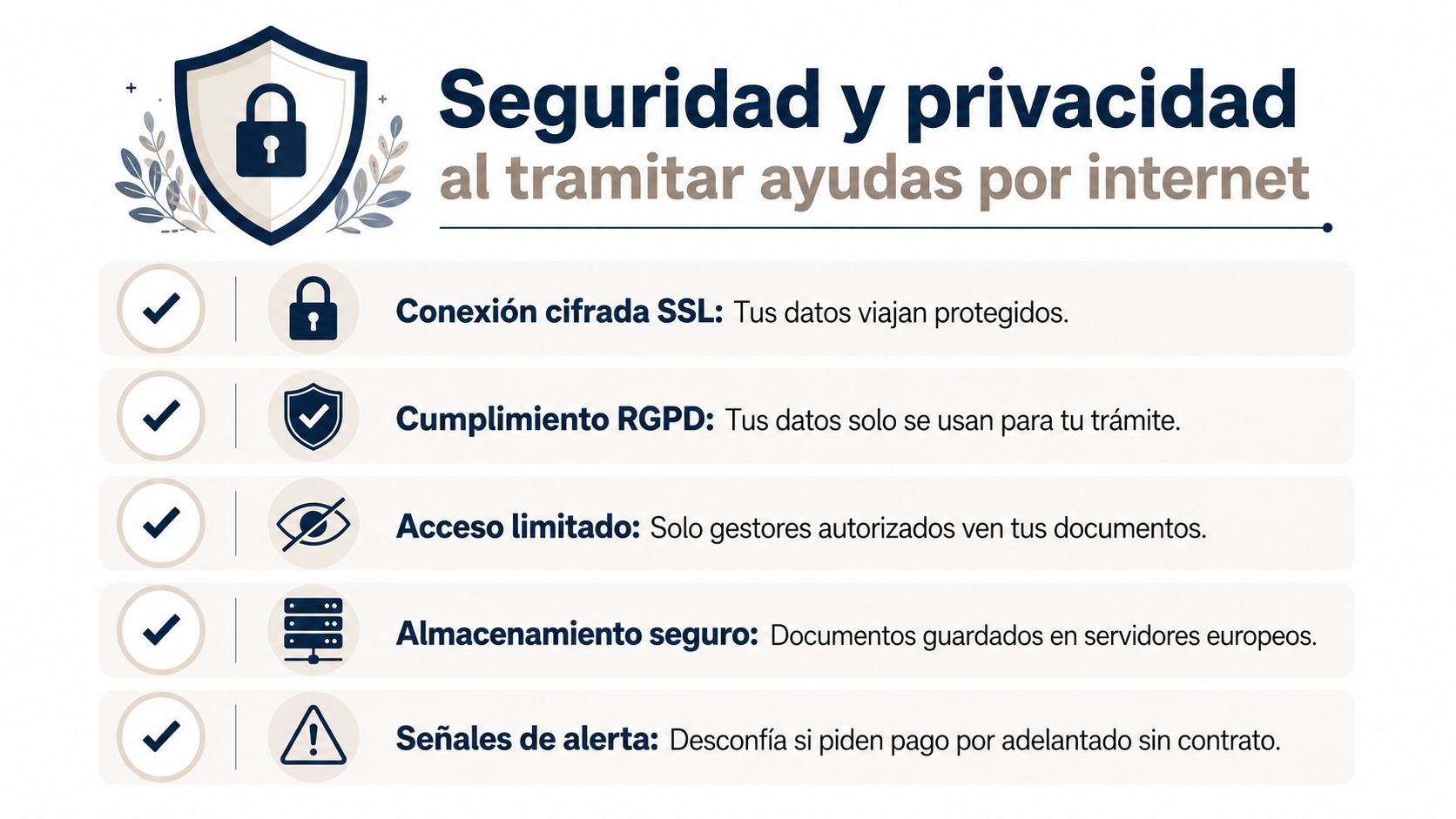 Infografía sobre seguridad y privacidad al tramitar ayudas por internet con consejos de protección de datos.